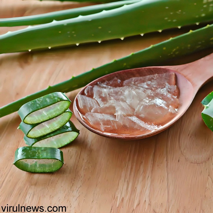 How to lighten dark private parts naturally by aloe vera