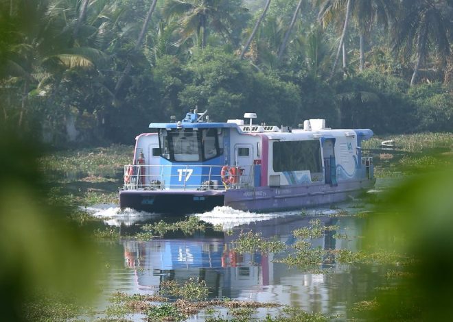 Now, hire a water metro ferry to go backwater tours