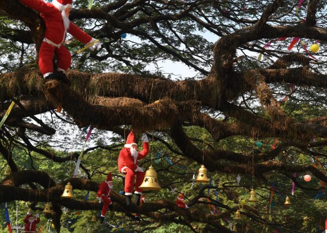 A Fort Kochi is a quick guide of Christmas