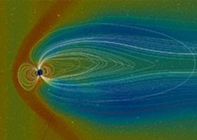 NASA satellites hold the sound of birds like the chorus wave of the tail of the earth’s magnetic field