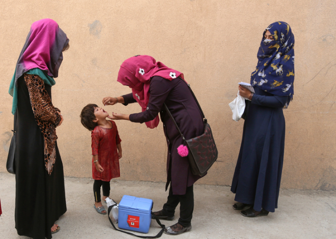 Pakistan polio virus was detected in the sewer sample The polio virus is found in sewer-scenario-scenario-scenario-scenario-like: 6 cases of polio this year have been found; 74 cases registered last year