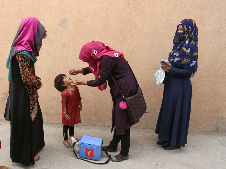 Pakistan polio virus was detected in the sewer sample The polio virus is found in sewer-scenario-scenario-scenario-scenario-like: 6 cases of polio this year have been found; 74 cases registered last year