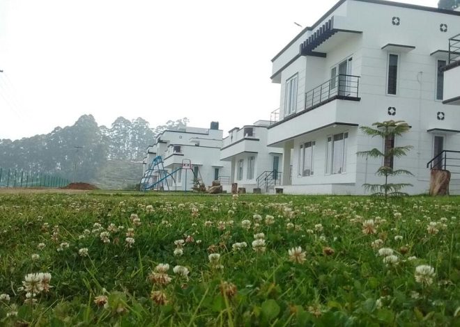 How do you explore the foggy hills of the Attavampti crush in Kodaikanal?