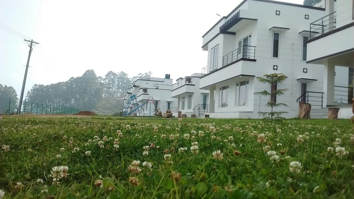 How do you explore the foggy hills of the Attavampti crush in Kodaikanal?